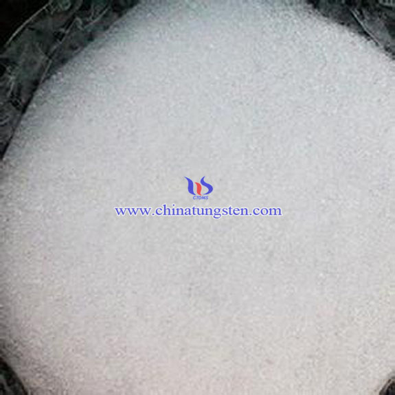 ���u���@�DƬ