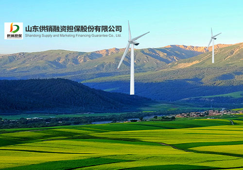 山东供销融资担保股份有限公司