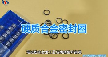 硬質(zhì)合金密封圈圖片