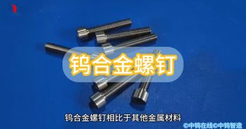 鎢合金螺釘圖片